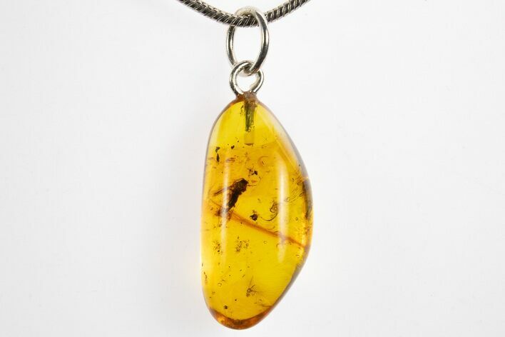 Polished Baltic Amber Pendant (Necklace) - Wasp and Fly! #328462